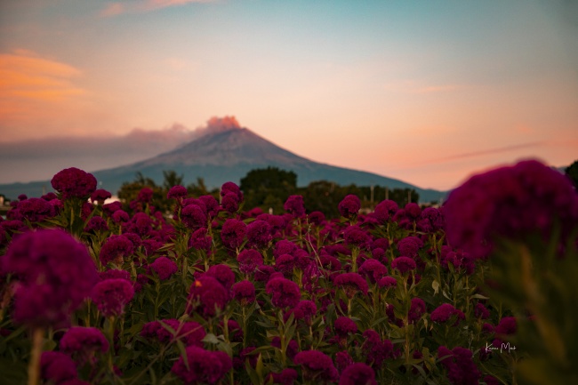 foto:Karen Moncada - lo hecho en México