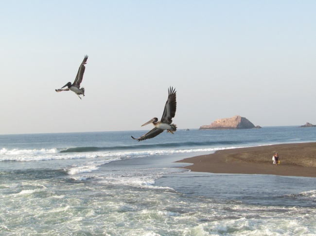 foto:DIEGO OMAR REVILLA - lo hecho en México