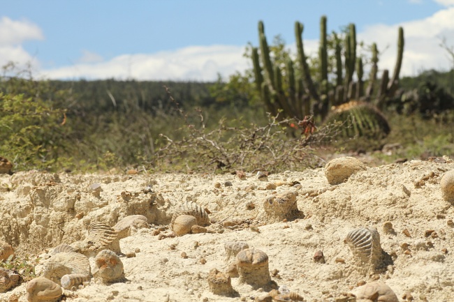 foto:FERNANDO PEREZ PERALTA - lo hecho en México