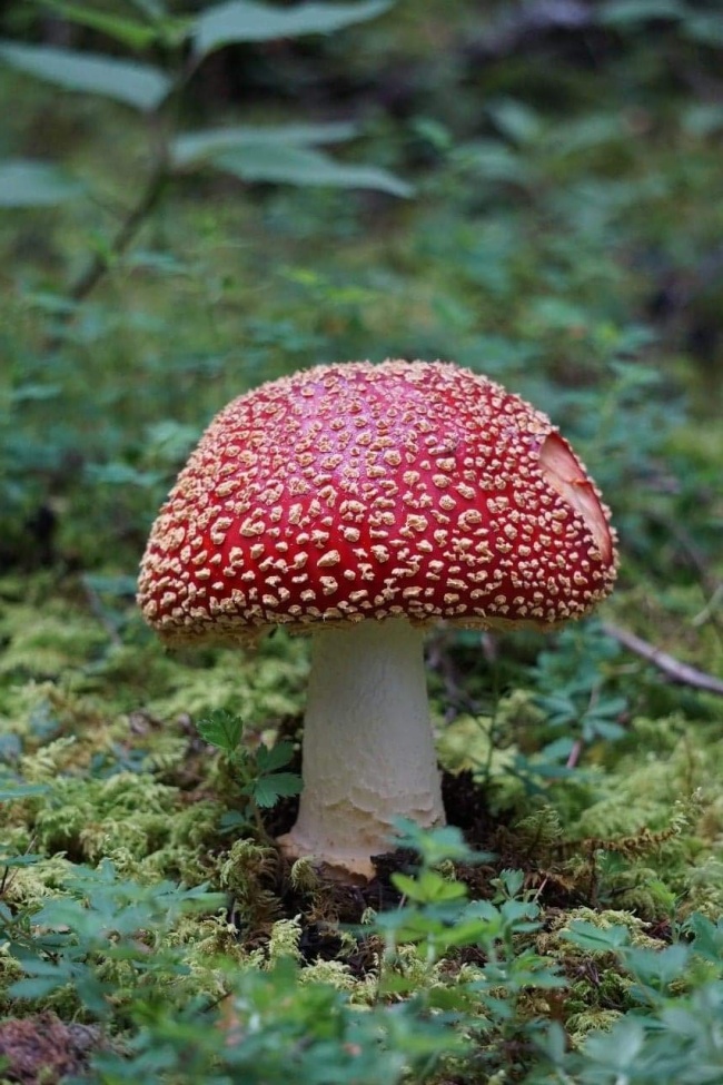 foto:Ana Maria Donn Gonzalez - lo hecho en México