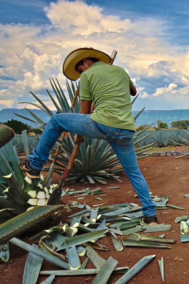 foto:Cuauhtémoc Pacheco Díaz - lo hecho en México