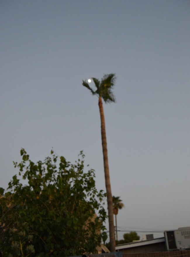 foto:Dora Argelia Hernández  - lo hecho en México