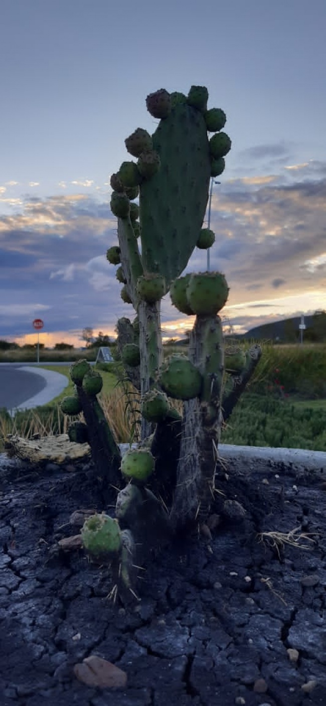 foto:Ana María Chávez Curiel - lo hecho en México