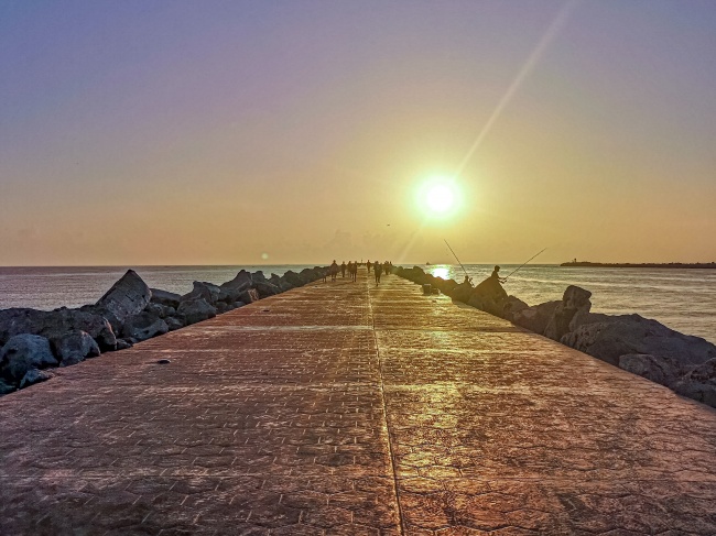 foto:Gustavo Echavarria Castillo - lo hecho en México