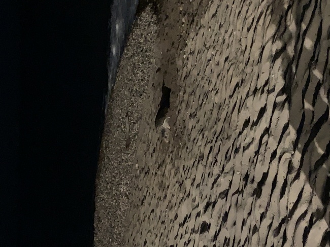 foto:Roberto Sánchez Zavala - lo hecho en México