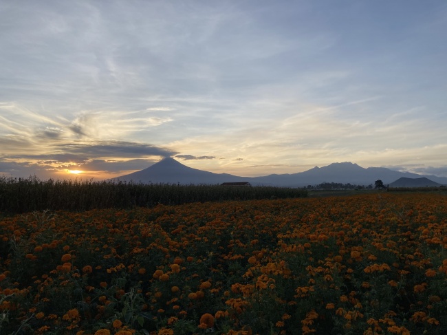 foto:Teresa Cerda Astorga - lo hecho en México