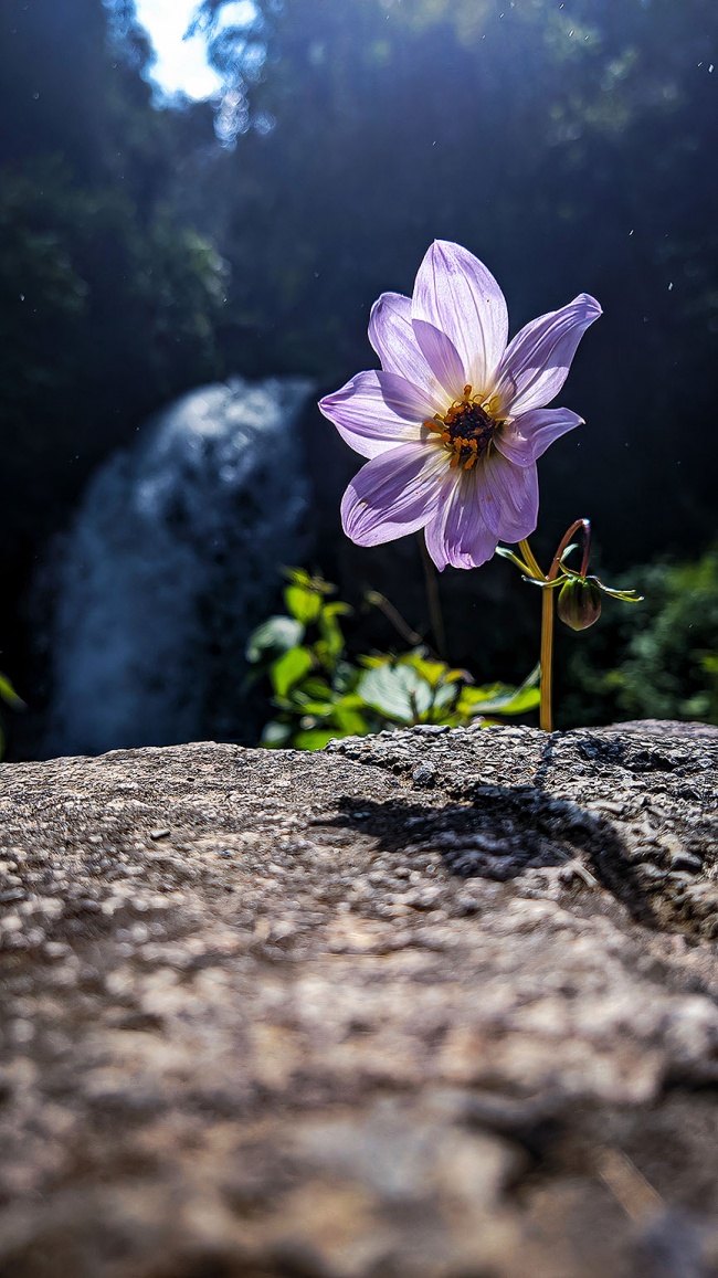 foto:Denis Esperanza Reyes García - lo hecho en México