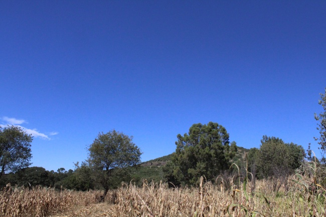 foto:Luis Alfredo García Flores - lo hecho en México