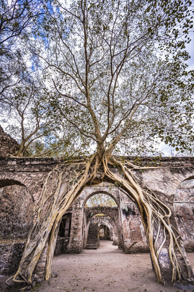 foto:Gabriel Pelusi de Icaza - lo hecho en México