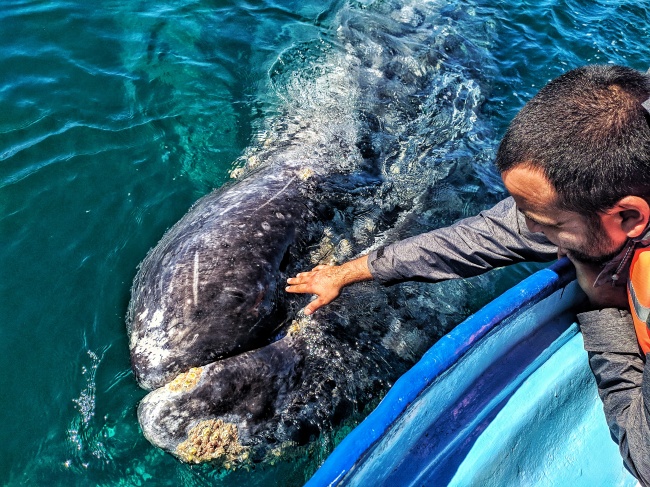 foto:Elizabeth del Carmen Galicia Nicolás - lo hecho en México