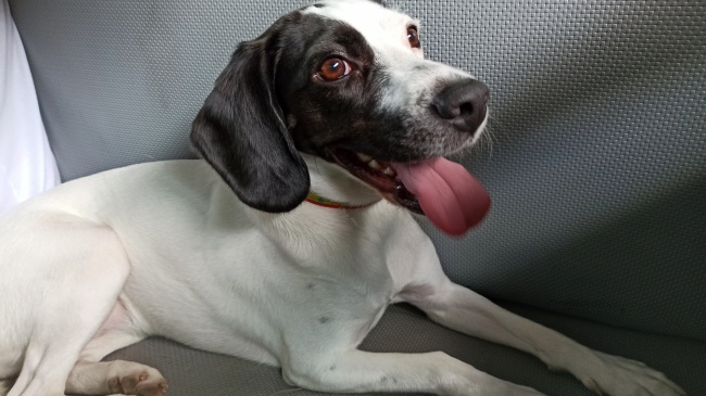 foto:DIEGO LUCIANO GUZMÁN JORGE - lo hecho en México