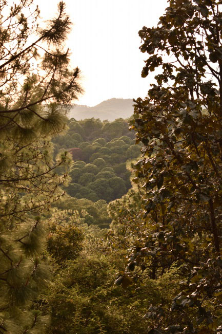 foto:Eréndira Jacqueline Sedano quirarte - lo hecho en México