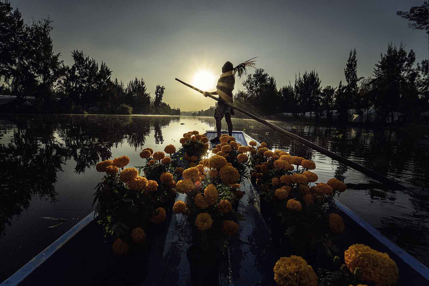 foto:JESUS ALEJANDRO VILLANUEVA LUNA - lo hecho en México
