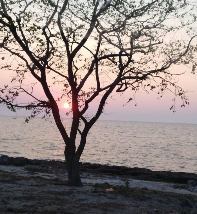 foto:Sandra Blanca Name Arroyo - lo hecho en México