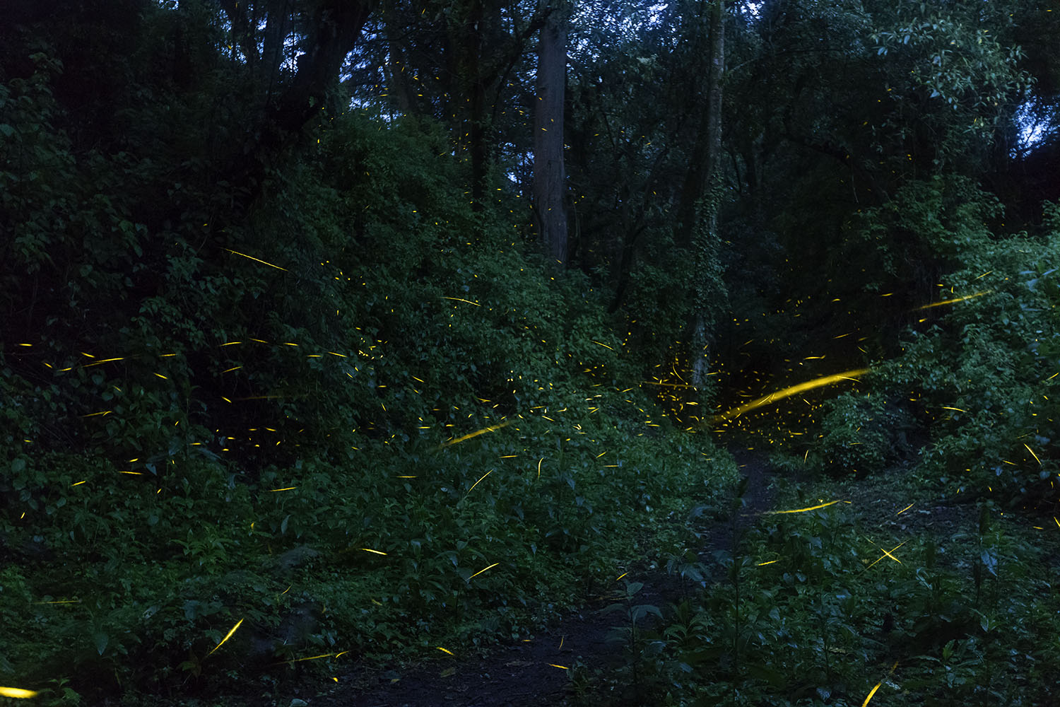 foto:Gaby Luque - lo hecho en México