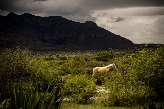 foto:Raymundo Alanis Reyna - lo hecho en México