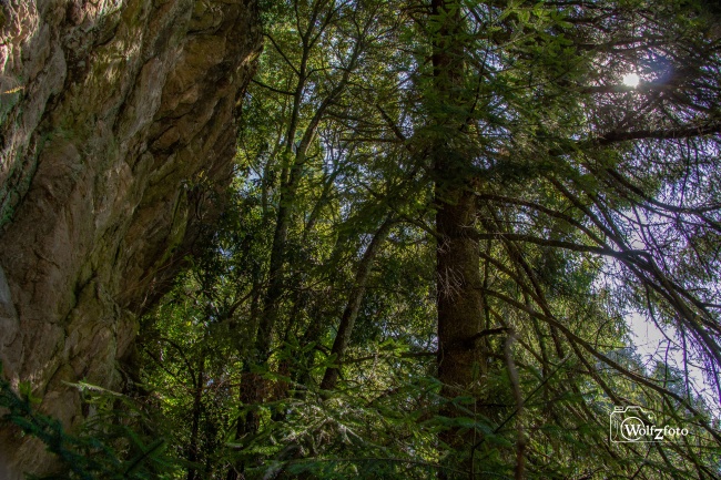 foto:Zacharias Wolf Espinosa Mireles - lo hecho en México