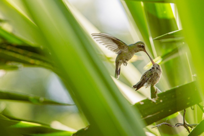foto:CARLOS GILBERTO TORRES CAÑEDO - lo hecho en México