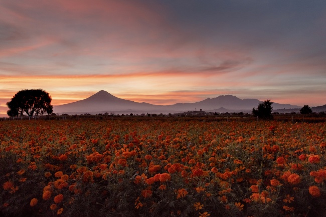 foto:José Francisco Alcalá Islas - lo hecho en México