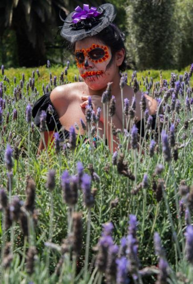 foto:Andrea Alejandra Labarrere Hernández - lo hecho en México