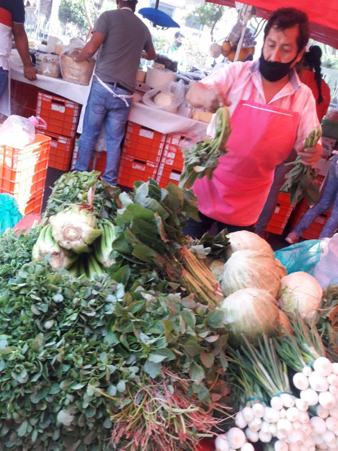 foto:Paola Andrea Mejia Zuluaga - lo hecho en México
