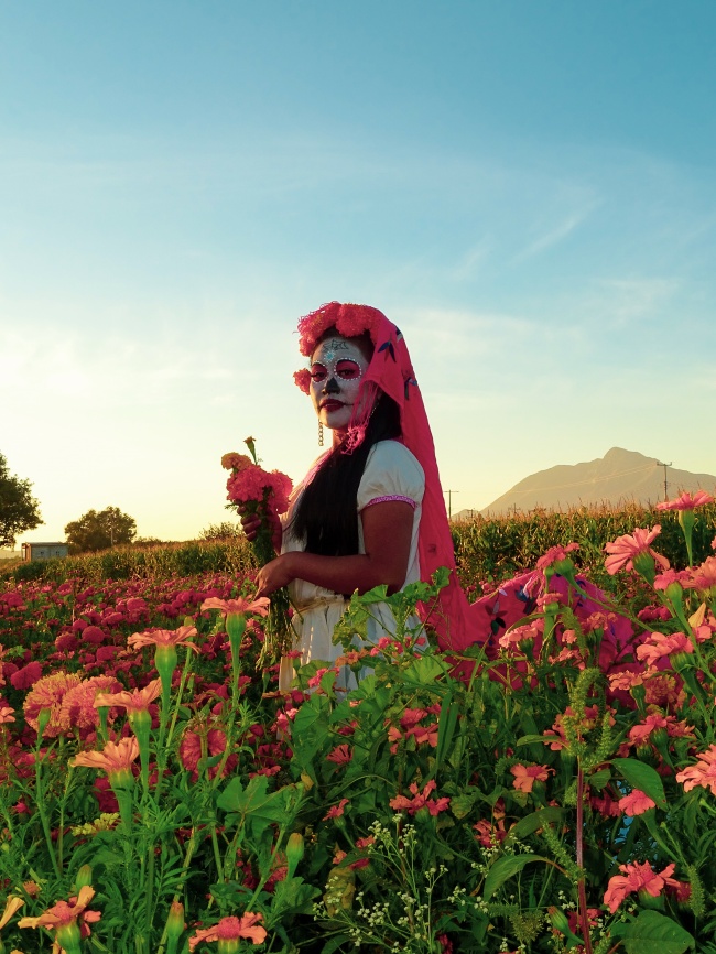 foto:Alex Jacinto Mezquite Charrez - lo hecho en México