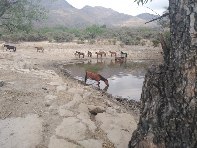 foto:Margarita Martha Quevedo Bata - lo hecho en México