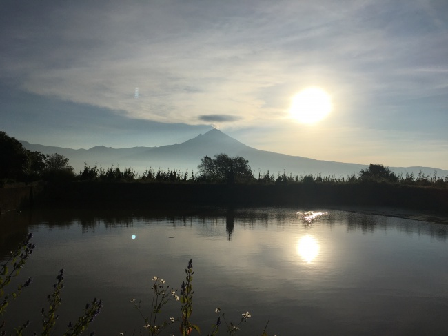 foto:Gabriel Torres Calderón   - lo hecho en México