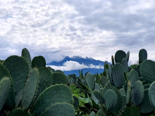 foto:Renato Roldán Prado  - lo hecho en México