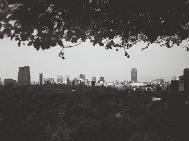 foto:Jonathan Martínez Fuentes - lo hecho en México