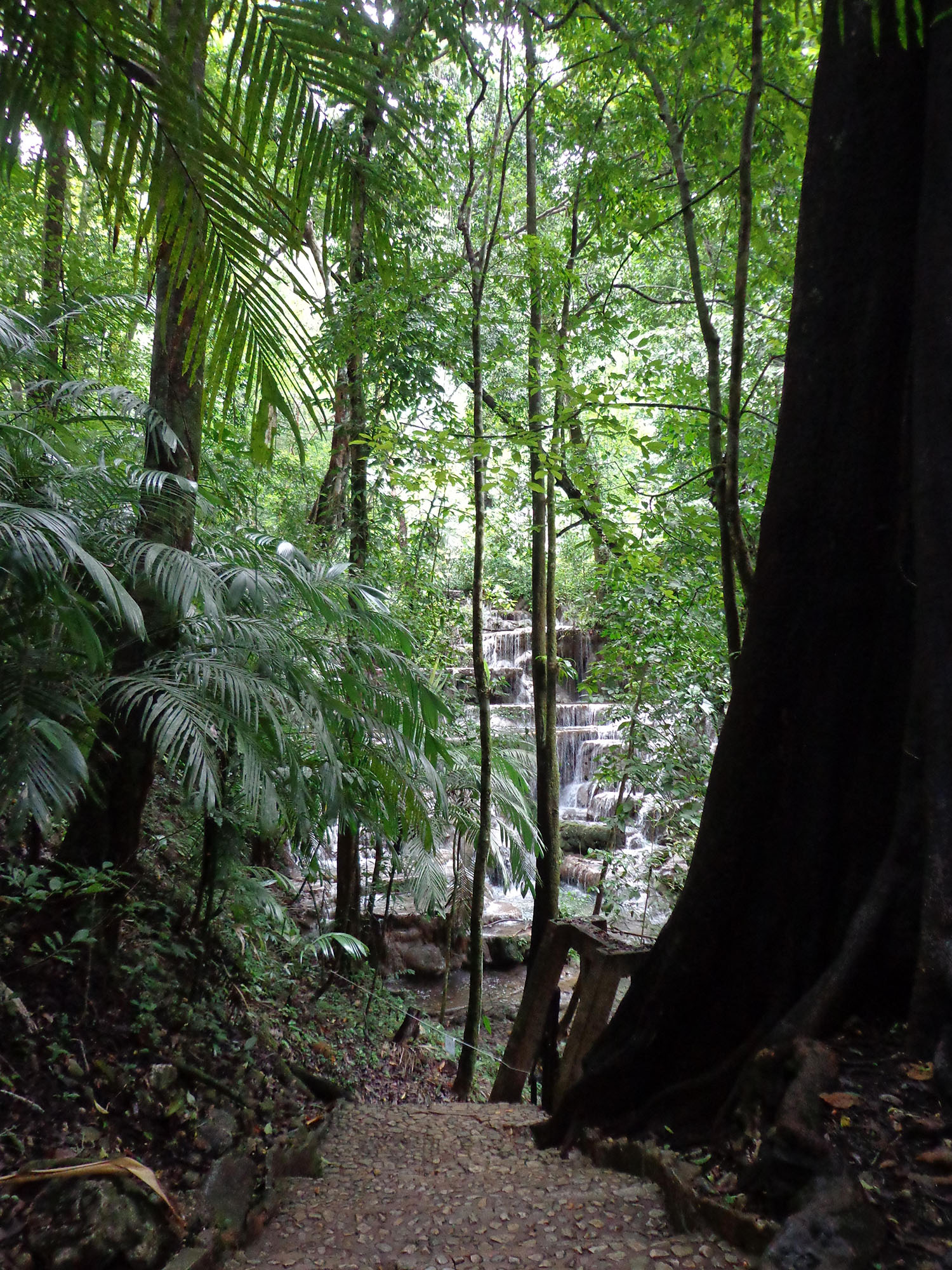 foto:Victor Abraham Ramirez Sarabia - lo hecho en México