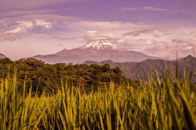foto:Carlos Ignacio Rojas Cajica - lo hecho en México