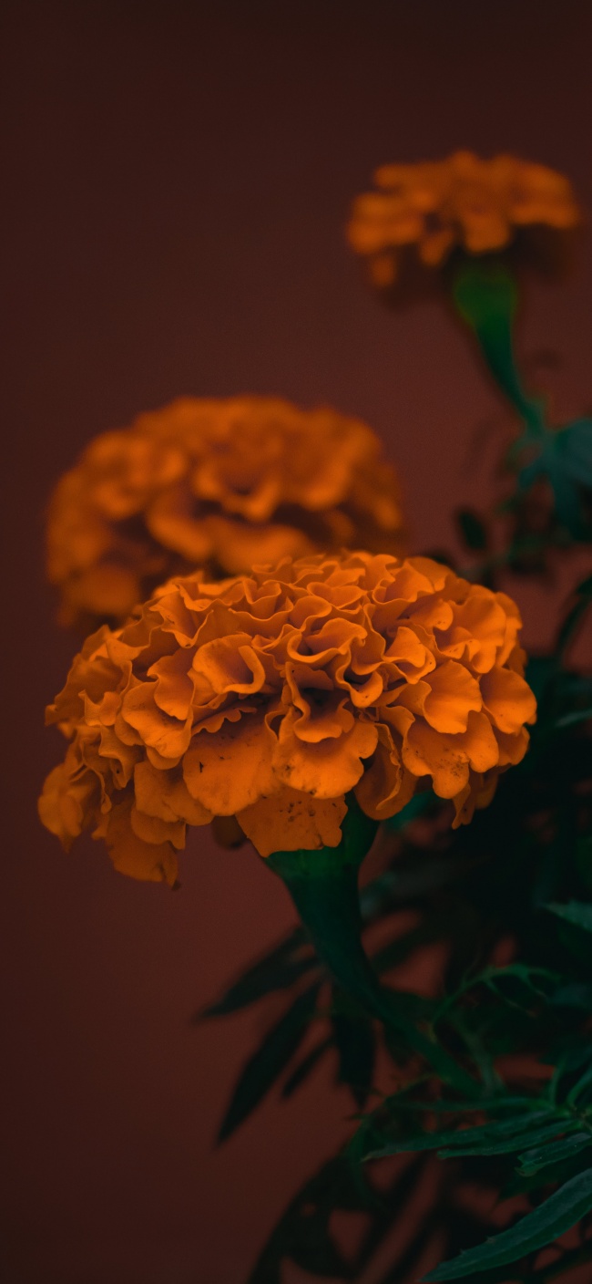 foto:Alex Cruz - lo hecho en México