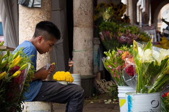 foto:Oscar Raschid Flores Montejo - lo hecho en México