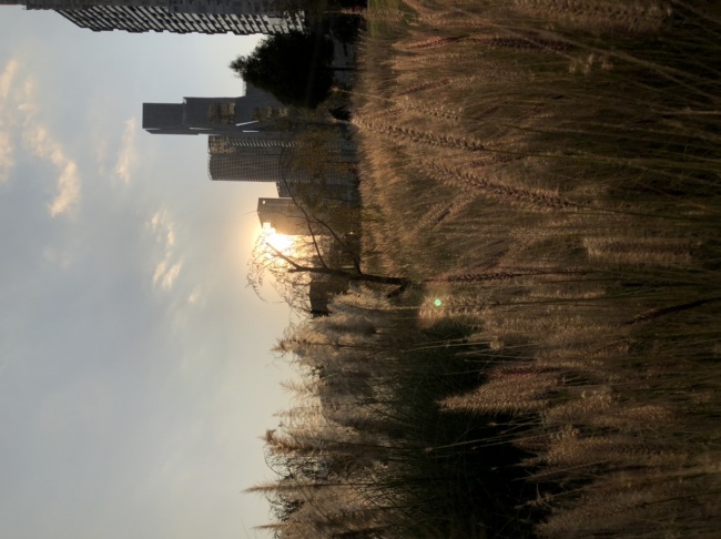 foto:Julio Cesar Ramírez Vázquez - lo hecho en México