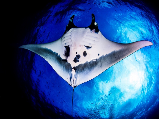 foto:ANTONIO ROBLES AVILES - lo hecho en México