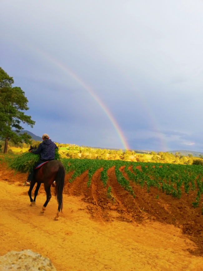 foto:YAZMÍN ZÁRATE HERNÁNDEZ - lo hecho en México
