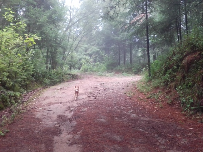 foto:Martha Lidia Reyes Luz  - lo hecho en México