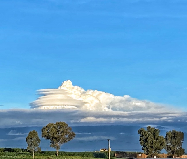 Hortensia Jiménez Díaz 