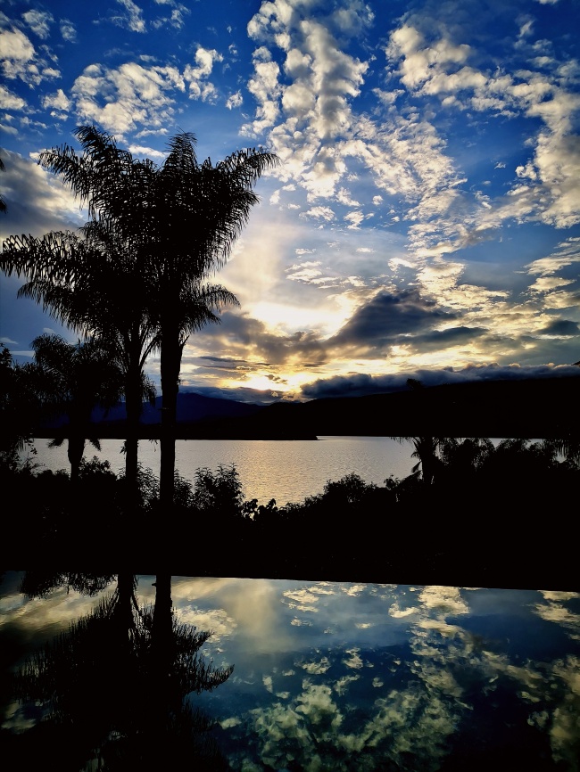 María Elena Plasencia García 