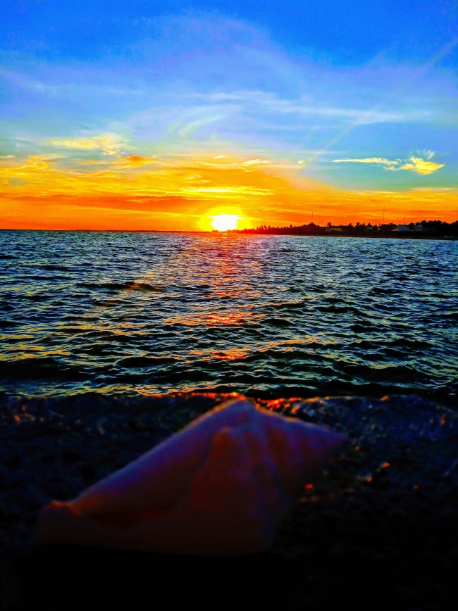 Patricia Itzel Nájera Rodríguez 