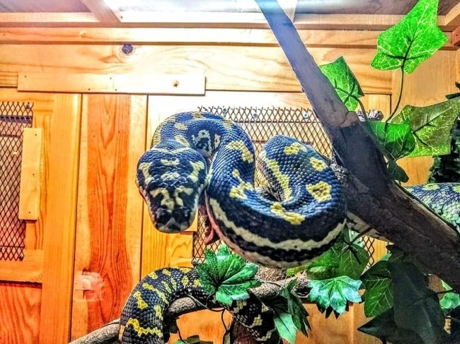 foto:Yareth Jeronimo  - lo hecho en México