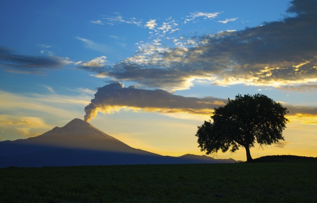 Mario Victoria Muñoz 