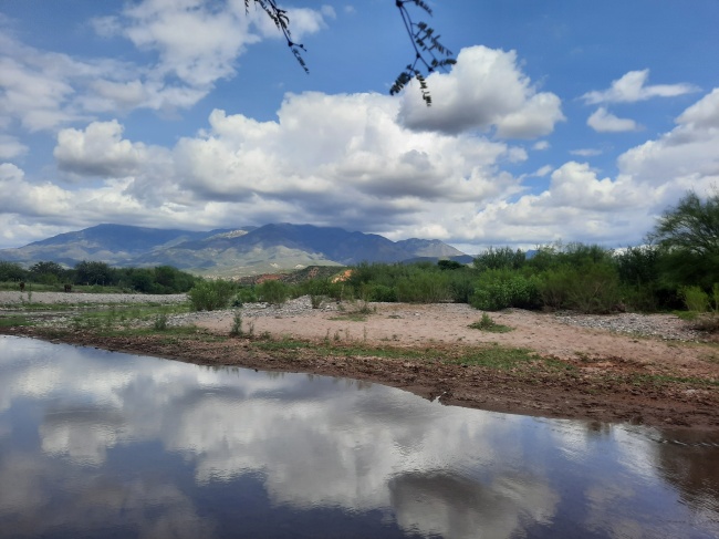 Denisse Alejandra Torres Romero 