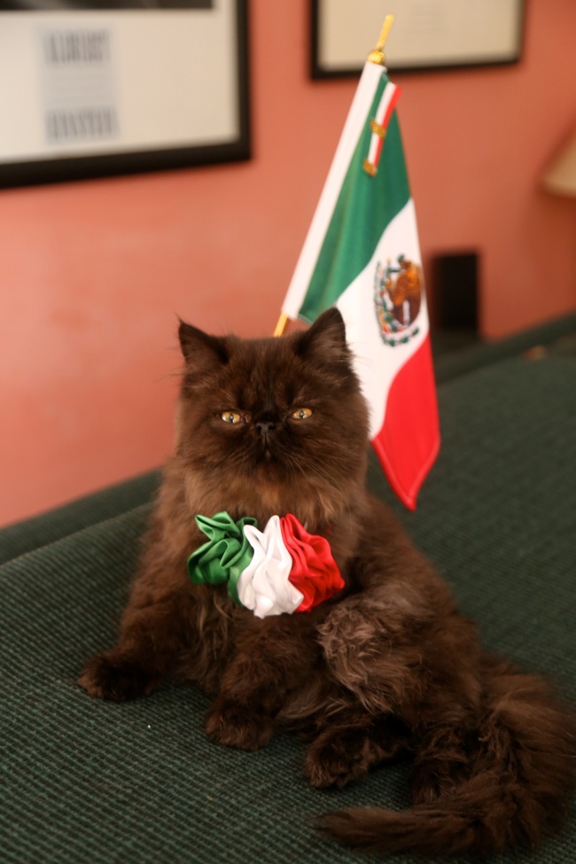 foto:Julián Humberto Jaramillo Díaz  - lo hecho en México