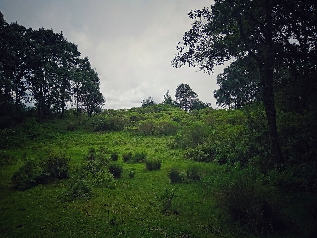 foto:Raquel dolores  - lo hecho en México