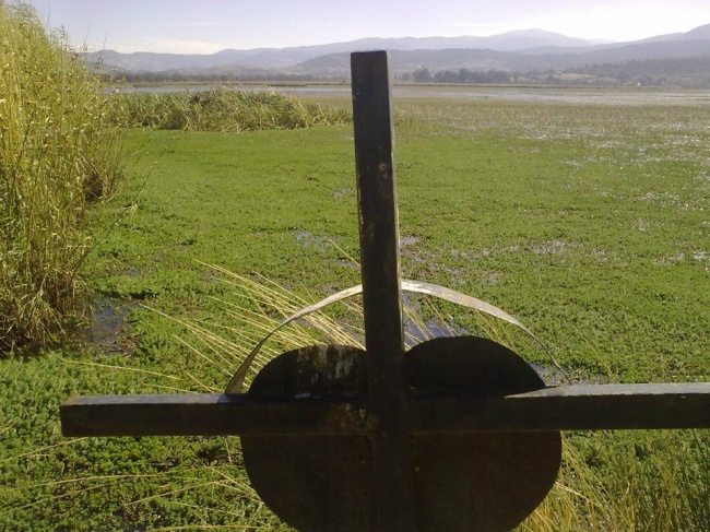 foto:Pablo issac hernandez espinoza  - lo hecho en México