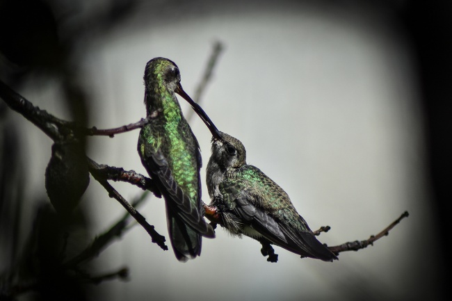 foto:LUIS DANIEL CAMACHO VELAZQUEZ  - lo hecho en México