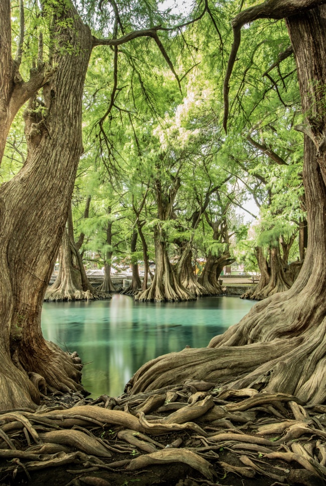 foto:Cristopher Osvaldo Ceja Garcia  - lo hecho en México