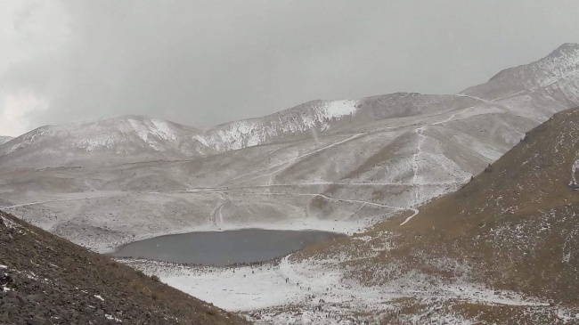 Carmen Andrea Bustos Lopez 